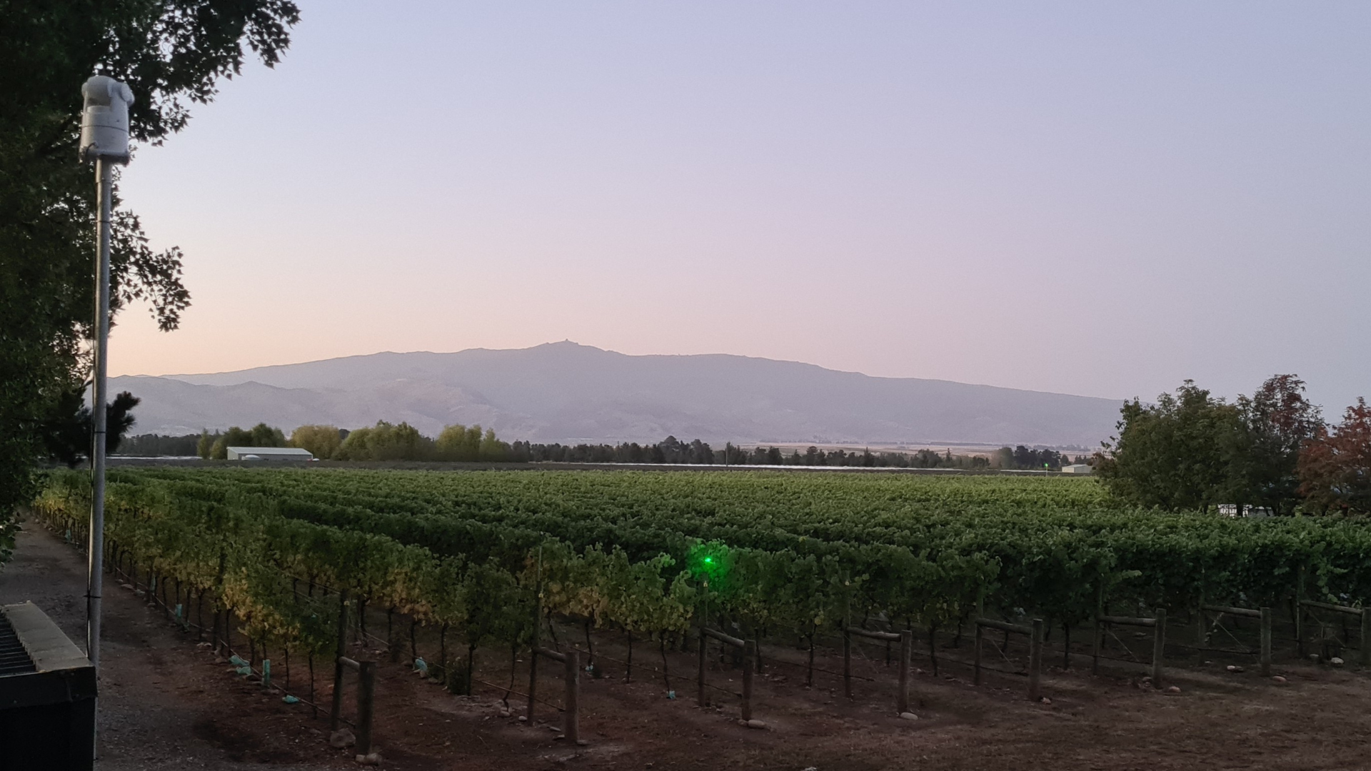 Birdzout at WinePro 2026 - pop by stand A15