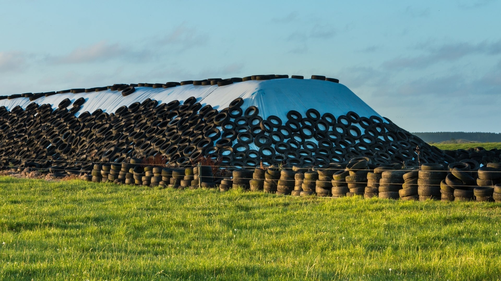 How to Keep Birds Away from Silage Stacks