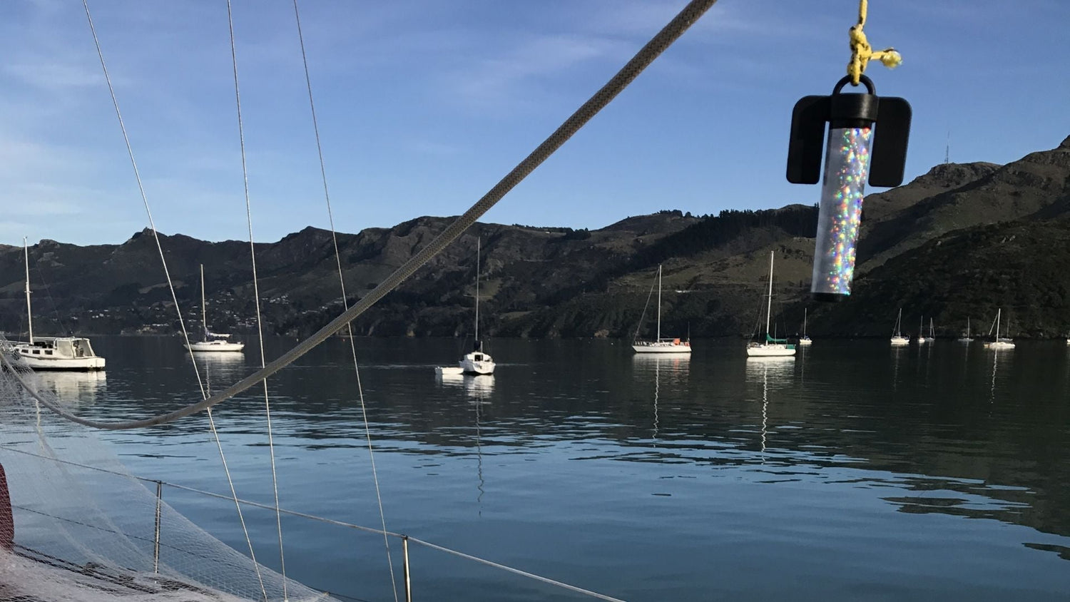 Case Study: Bird-Free at Last – How a Magnetic Bird Deterrent Transformed This Boat.