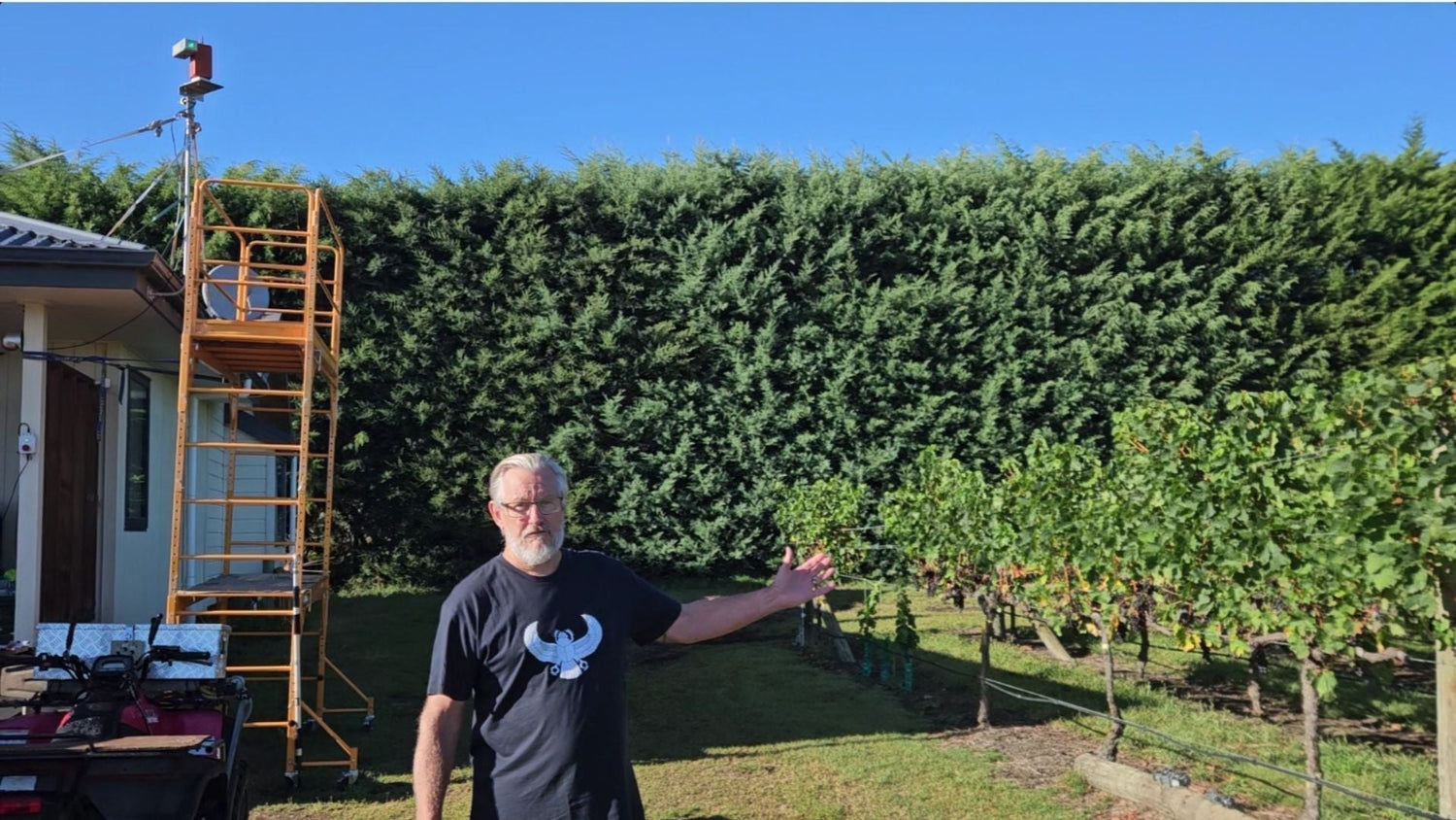 Real Results: How One Vineyard Replaced Netting with a Birdzout Laser - Birdzout