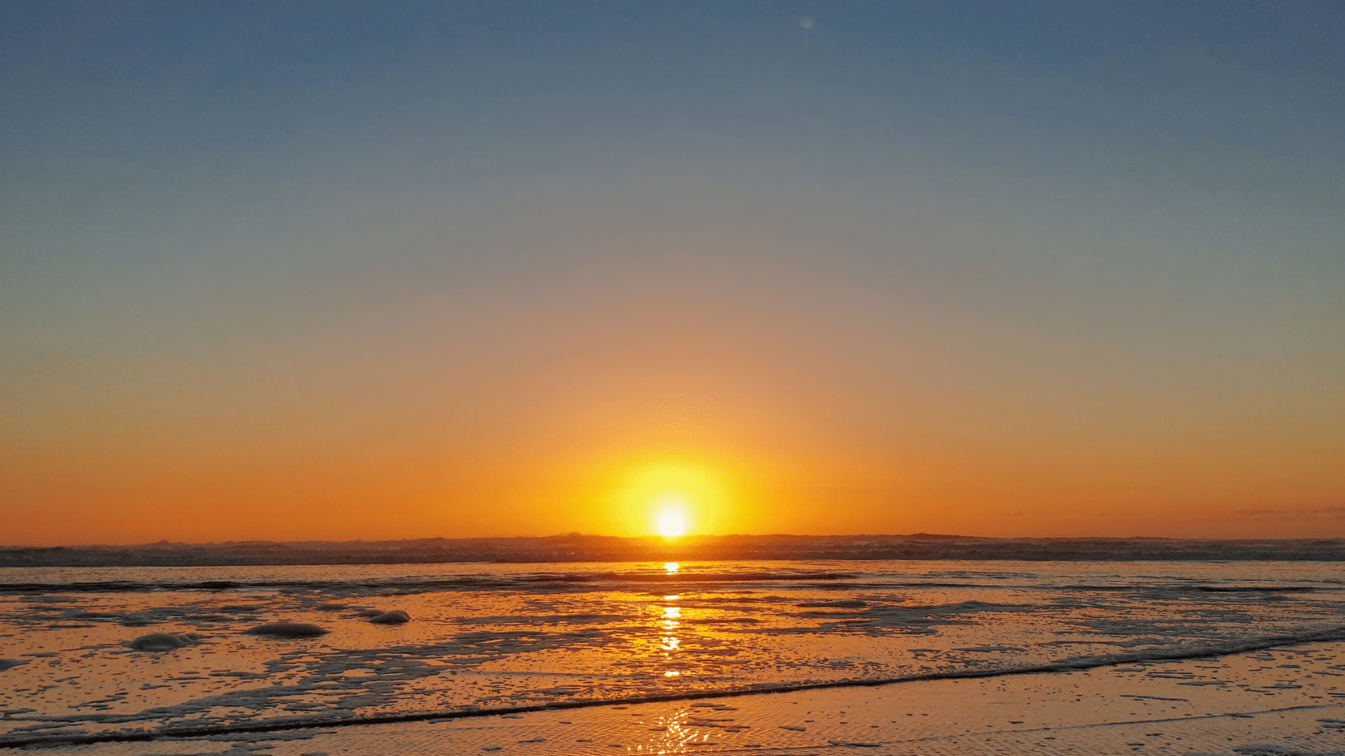 The Story of Birdzout - Birdzout