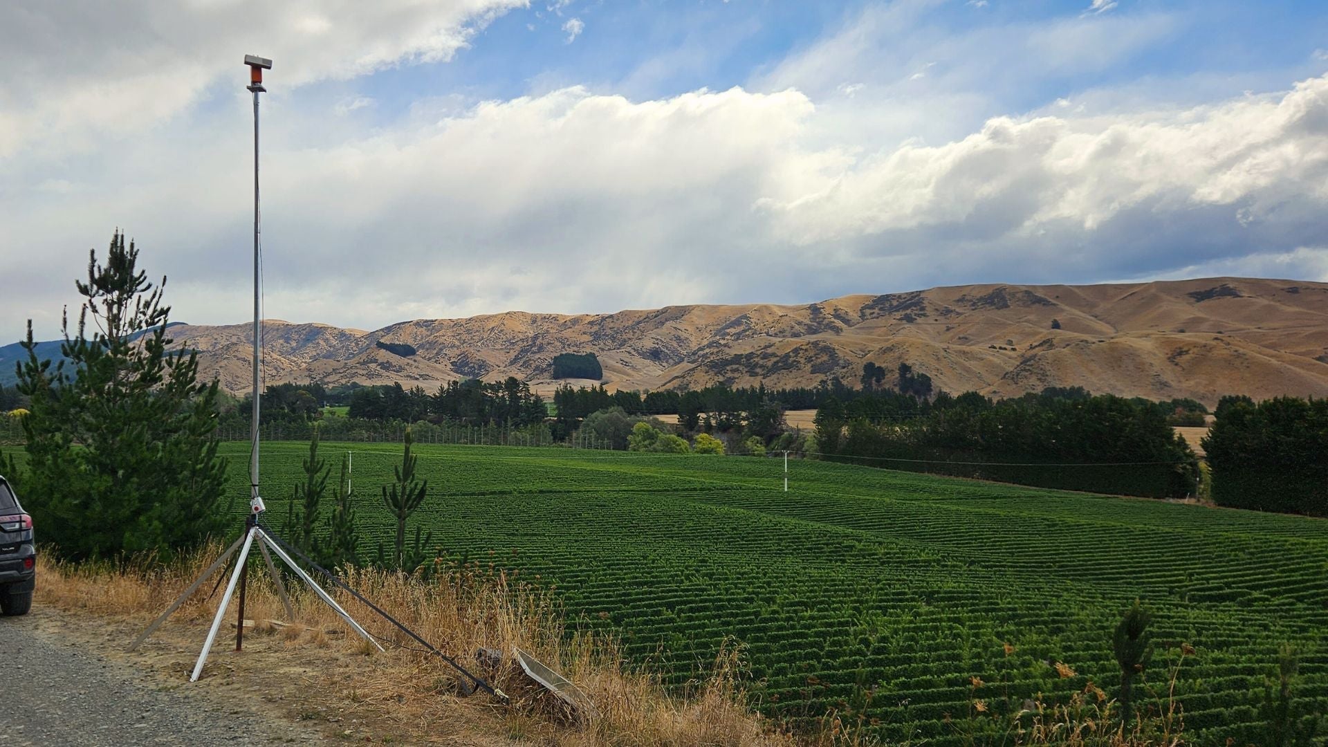 Tips for Vineyard Bird Control
