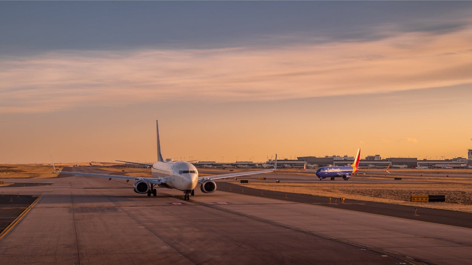 Why Bird Pressure Increases Around Airports in Autumn - Birdzout