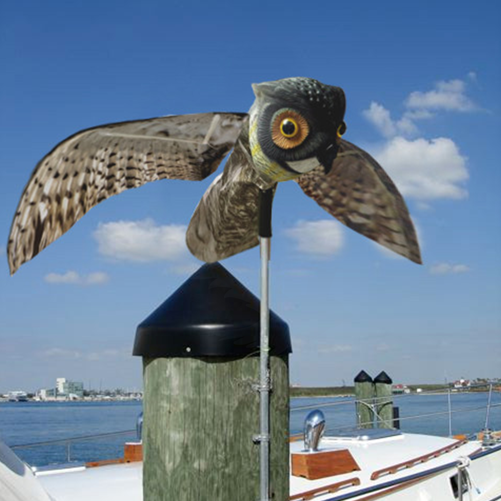 Prowler Owl