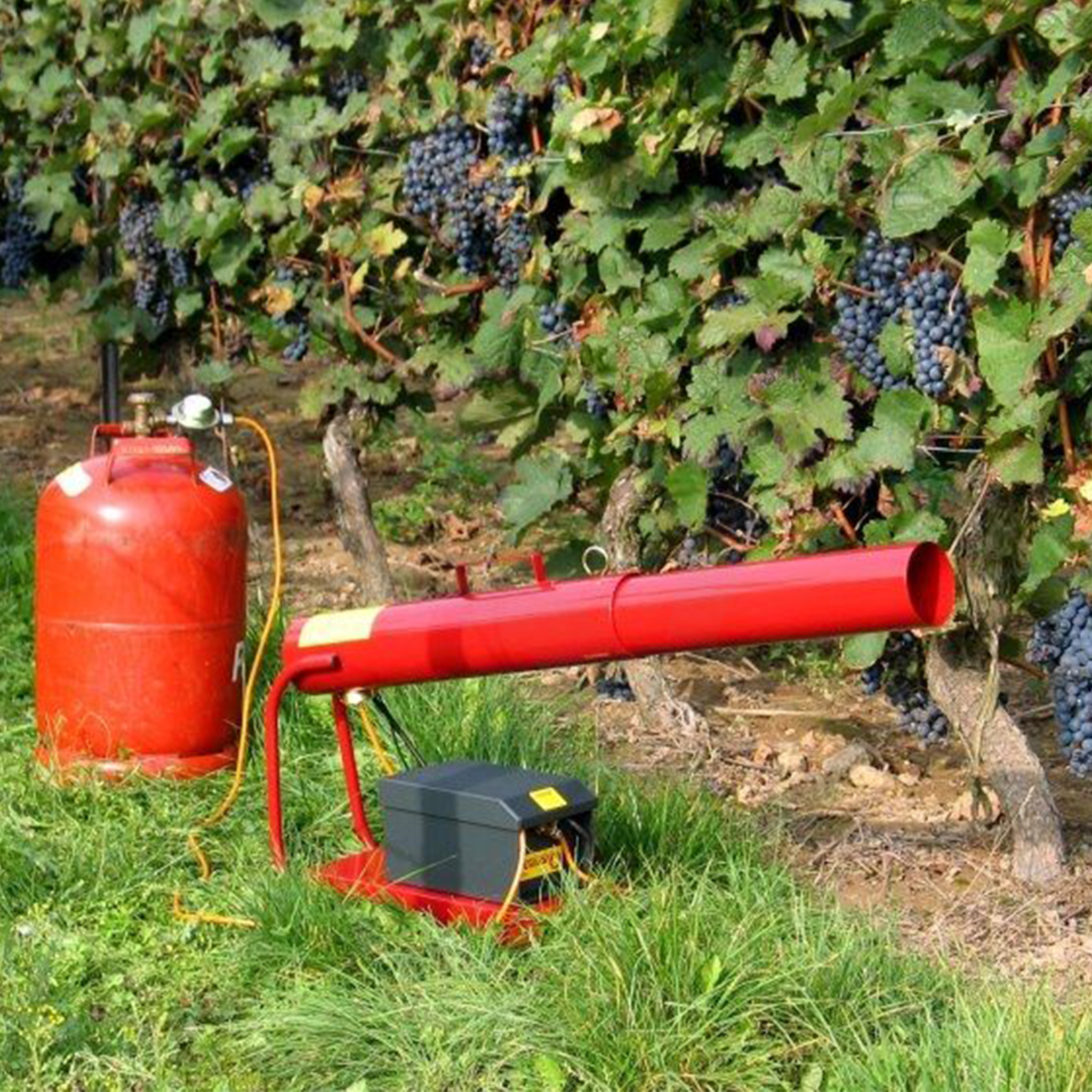 Triplex V Gas Gun