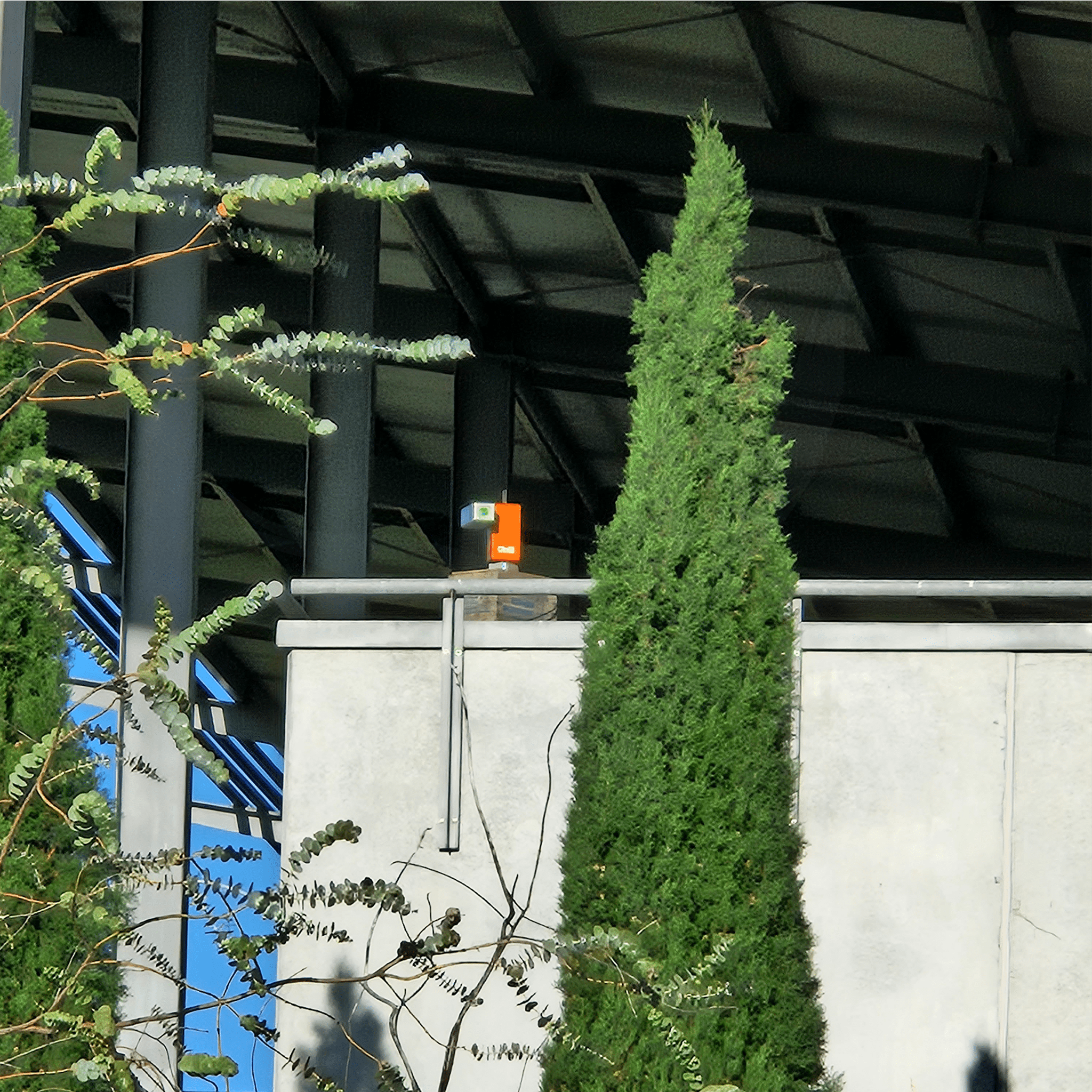 Auto Laser Ultimate MK2 - Birdzout