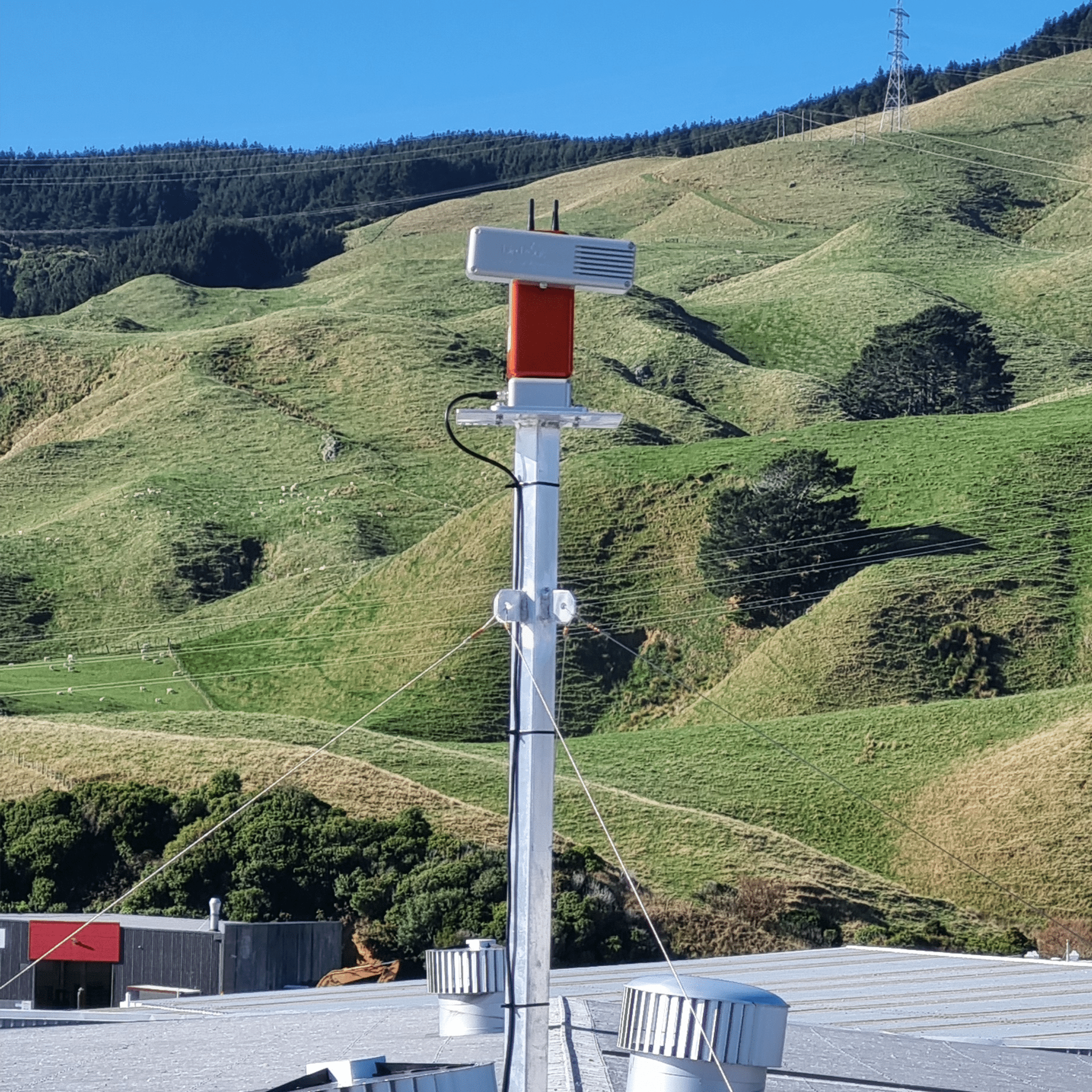 Auto Laser Ultimate MK2 - Birdzout