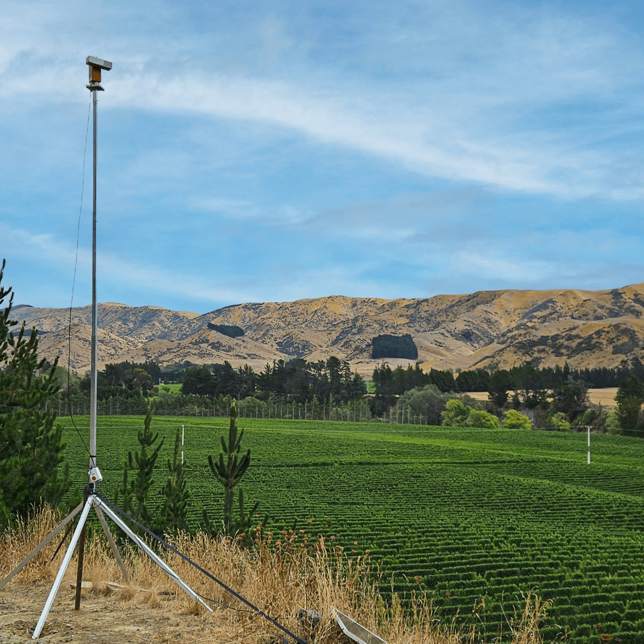 Auto Laser Ultimate MK2 - Birdzout