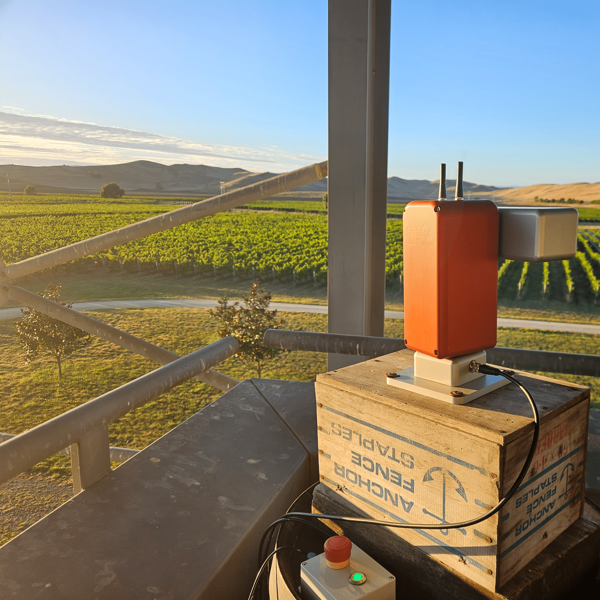 Auto Laser Ultimate MK2 - Birdzout