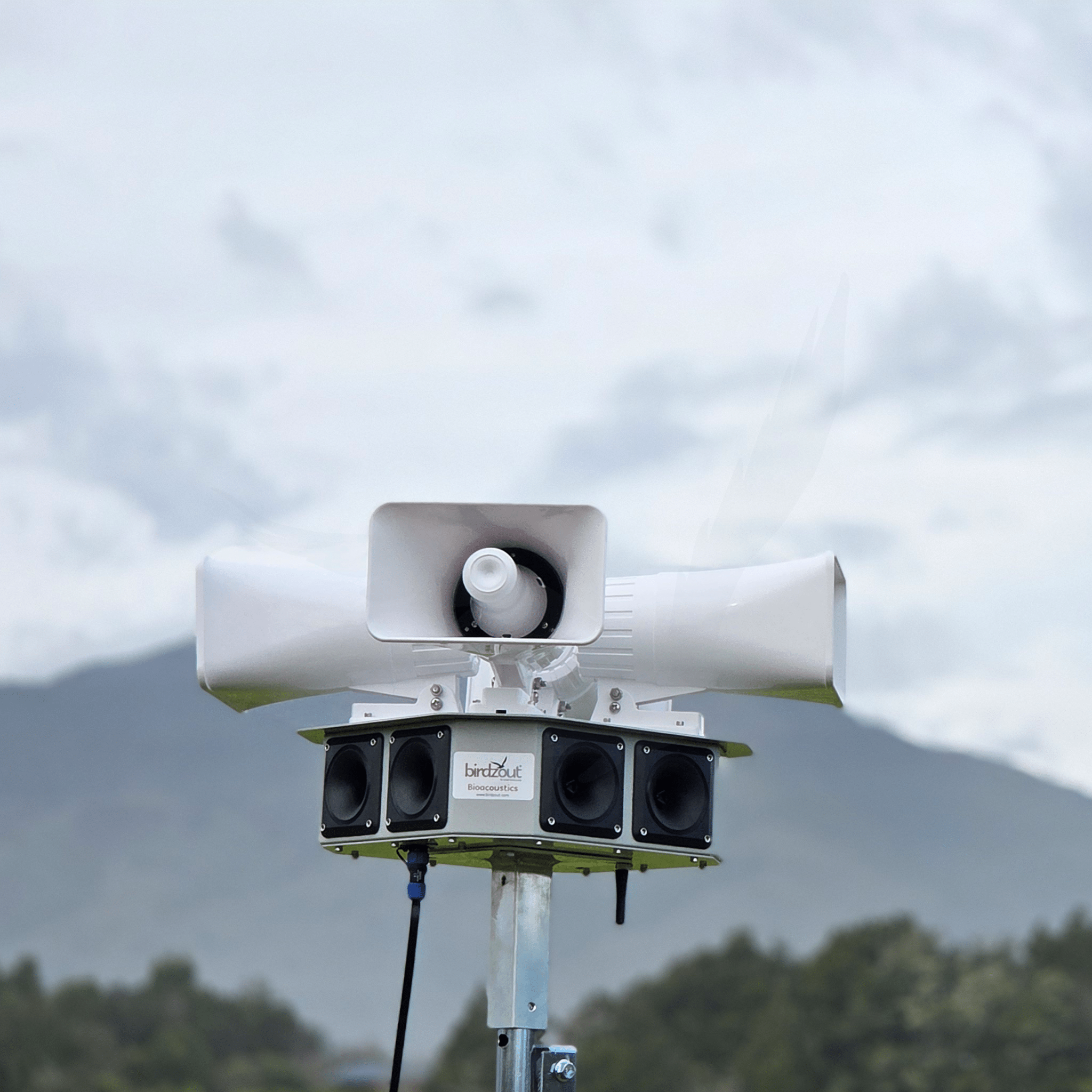 Birdzout 12S MK2 - Birdzout