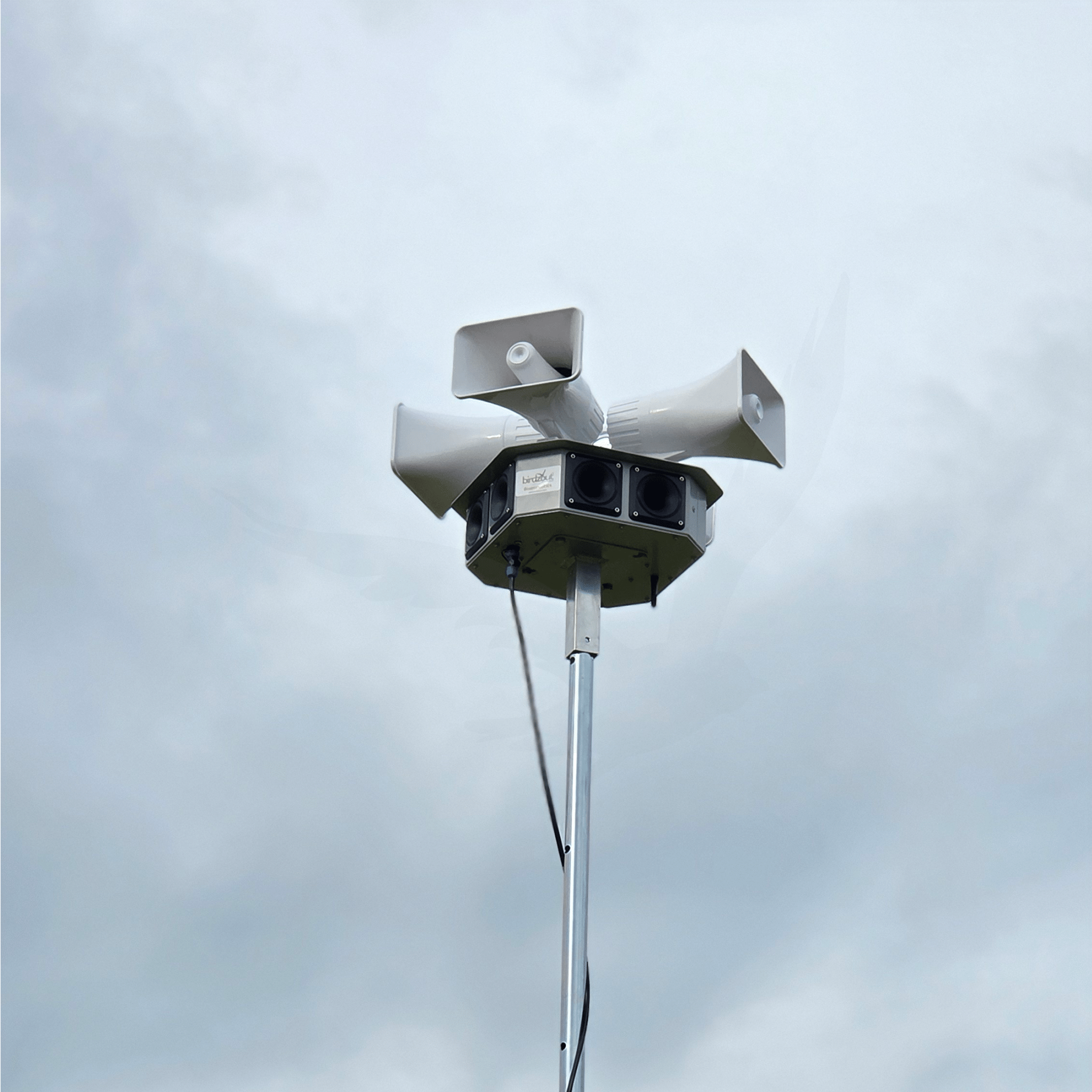 Birdzout 12S MK2 - Birdzout