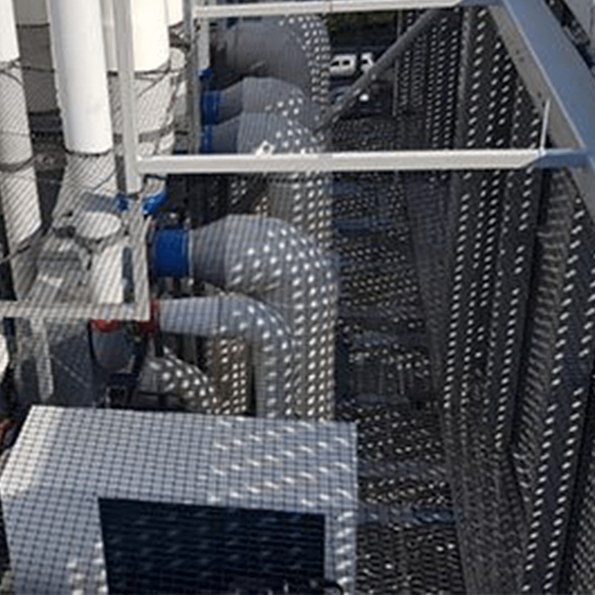 Birdzout 50mm Netting - Birdzout