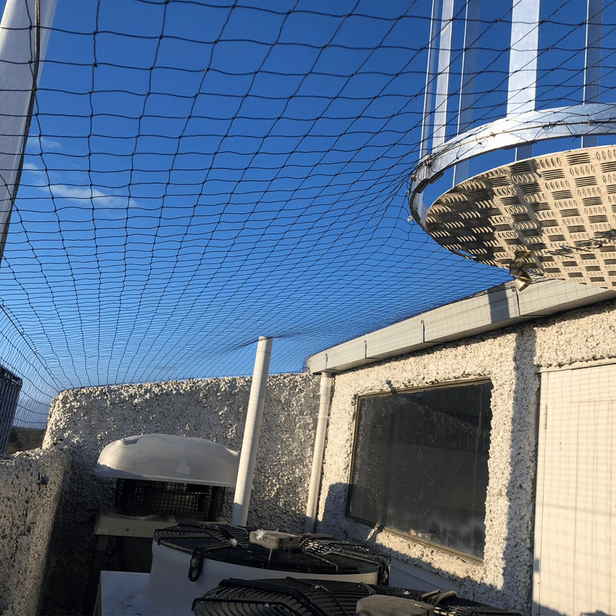 Birdzout 50mm Netting - Birdzout