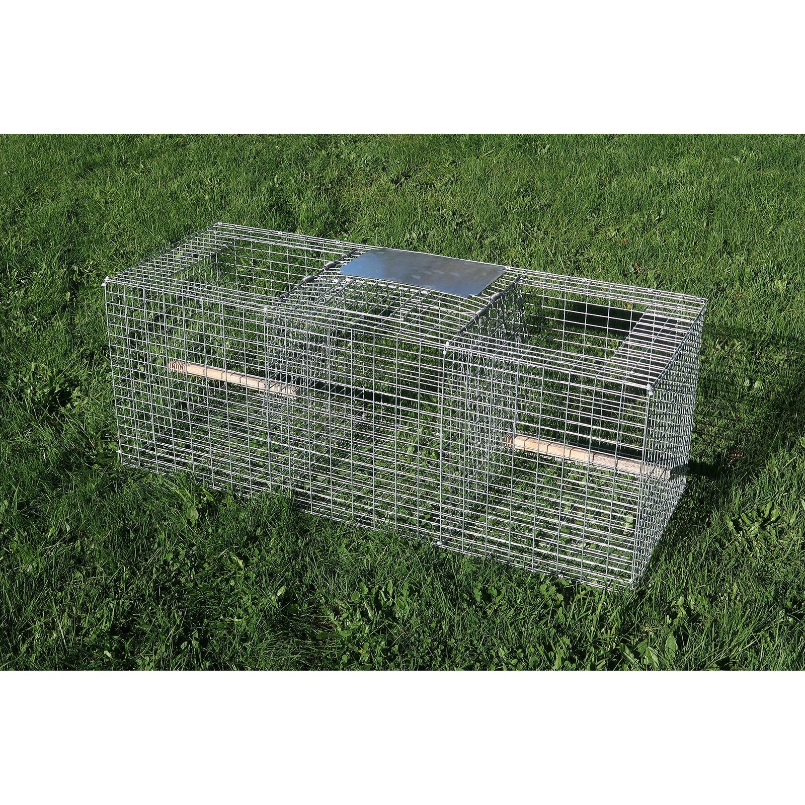Larsen Type Bird Trap - Rectangular - Birdzout