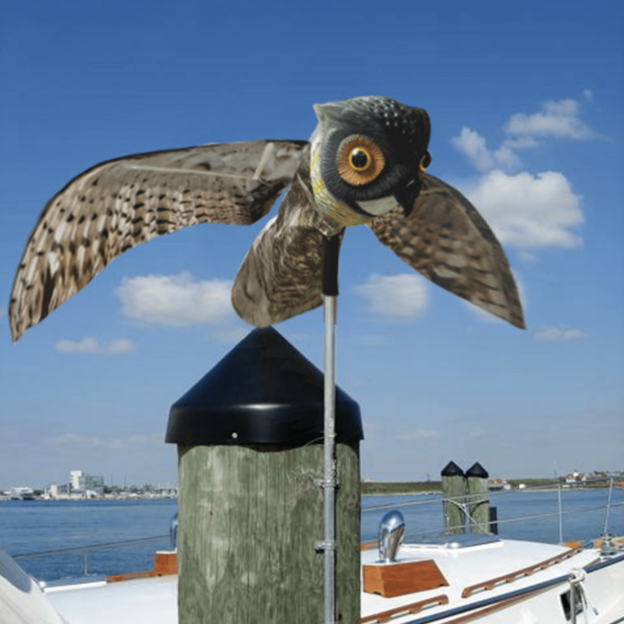 Prowler Owl - Birdzout