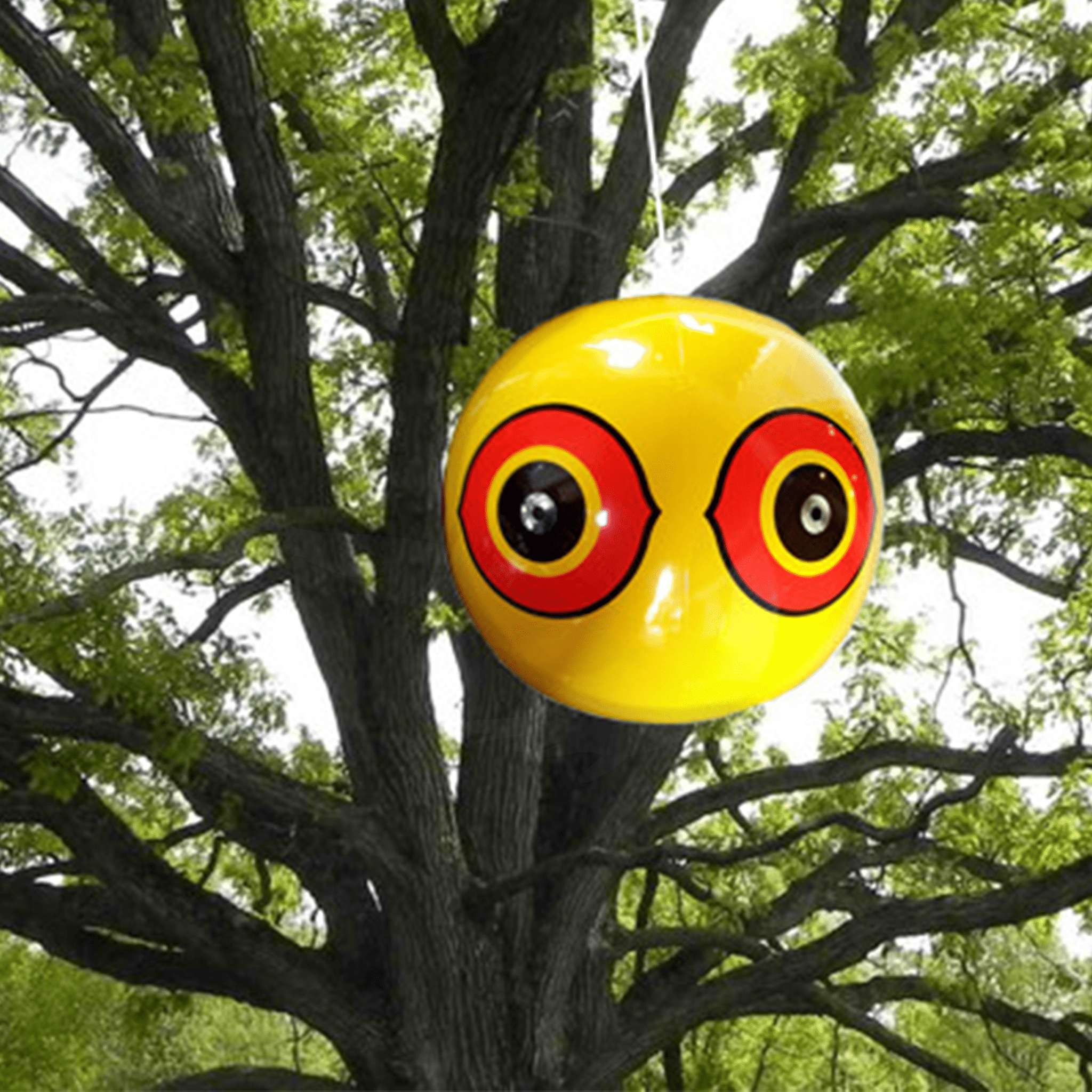 Scare Eyes - 3 pack - Birdzout