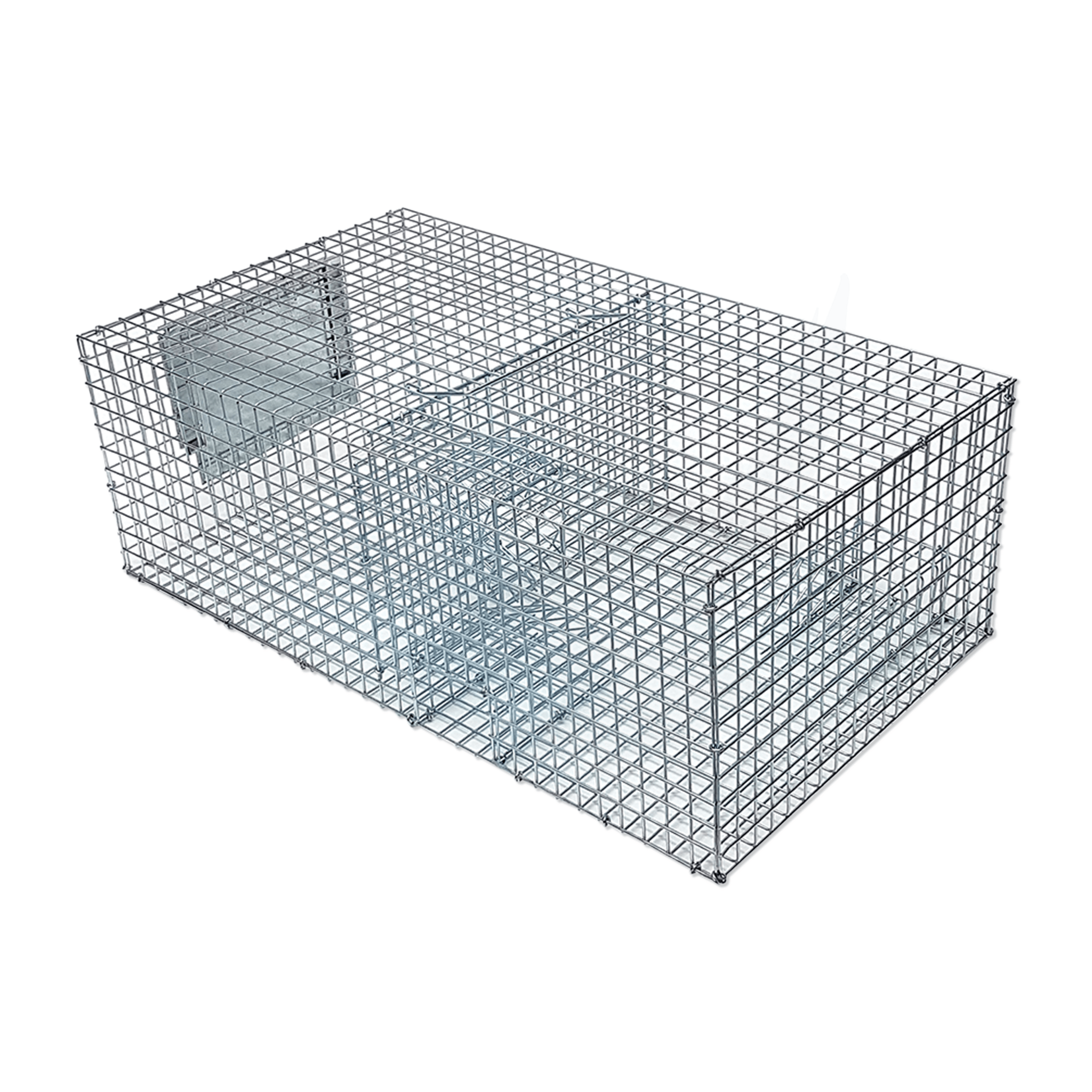 Sparrow Trap - Multi Capture - Birdzout