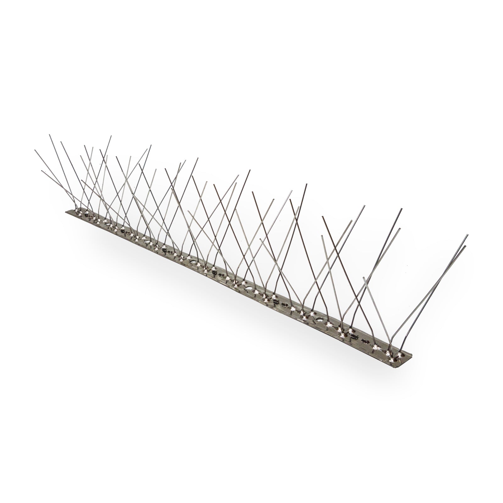 Stainless Steel Bird Spikes - 150mm Wide - Birdzout