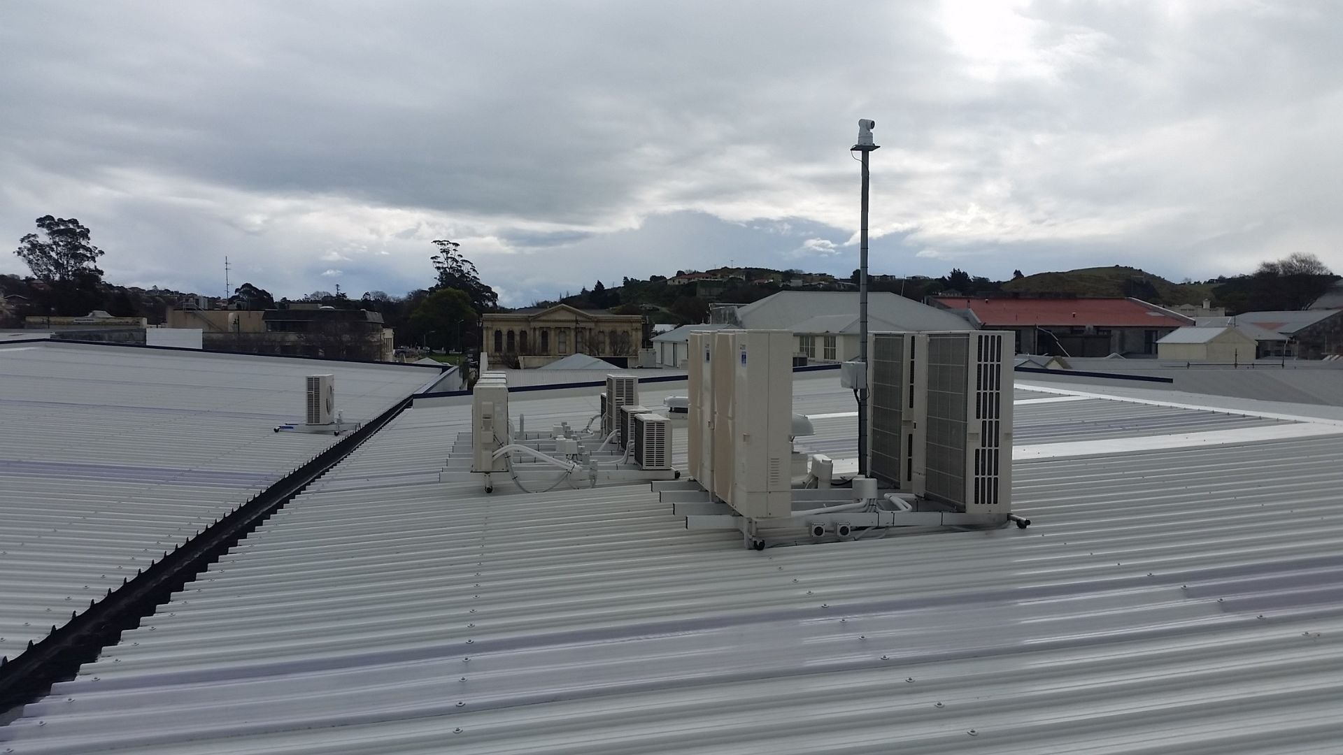 Case Study: Humane Bird Deterrent Solution for Bunnings Oamaru