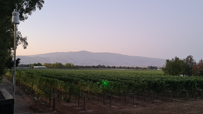 Birdzout at WinePro 2026 - pop by stand A15