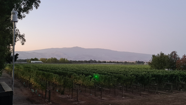 Do Lasers Really Work for Bird Control?