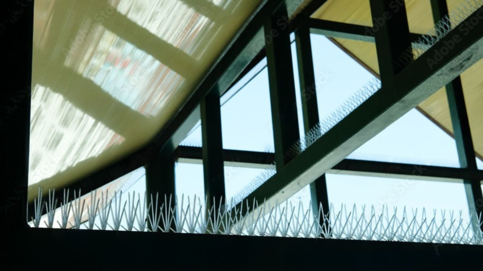 How do I know what bird spikes to use?
