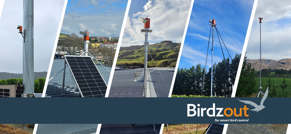 Where Laser Bird Deterrents Work Best