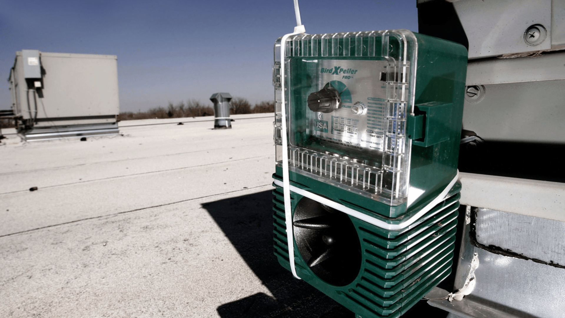 Bird-X Sound Deterrents Deliver Strong Protection for Growers Across NZ - Birdzout