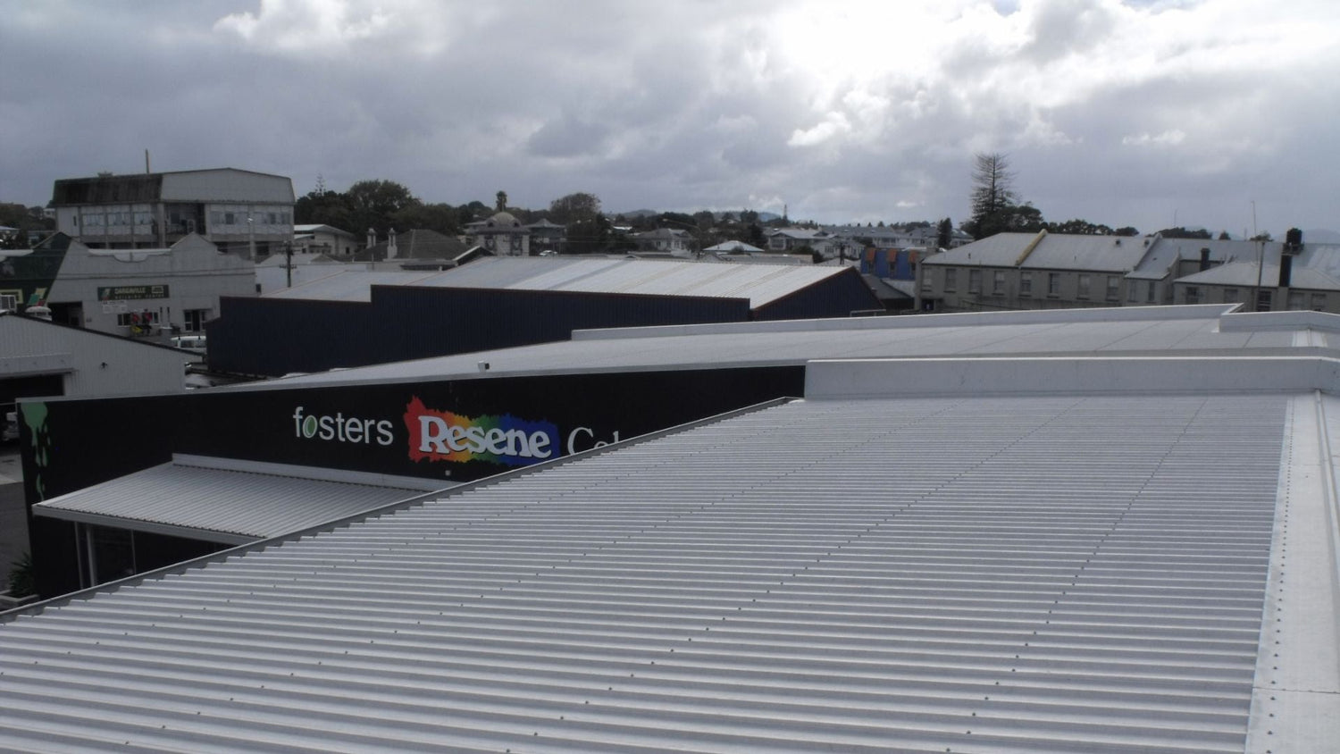 Case Study: BroadBand Pro Keeps Seagulls Off Warehouse Roof - Birdzout