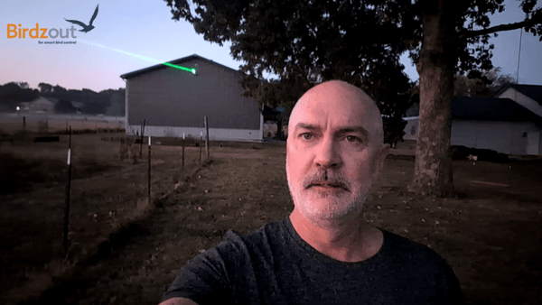 Case Study: From Netting Nightmares to Labour Saving Bird Control at Villa Rustica Vineyard - Birdzout