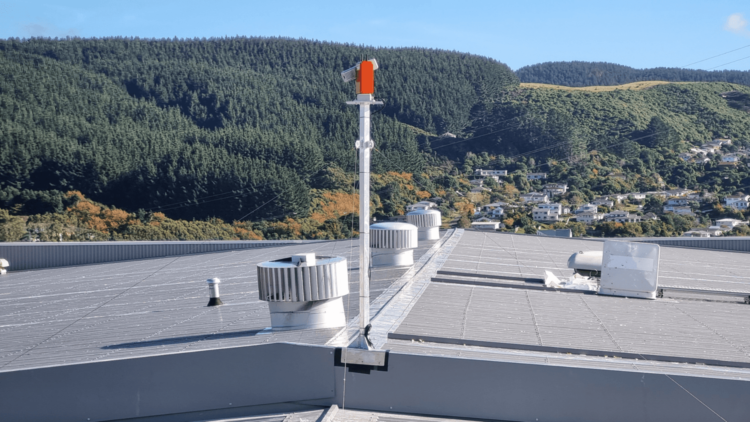 Case Study: The Ultimate Seagull Solution for MG Group - Birdzout