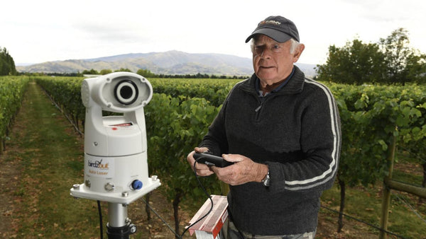 How One Vineyard Ditched Nets and Cut Costs with Smart Laser Bird Control - Birdzout