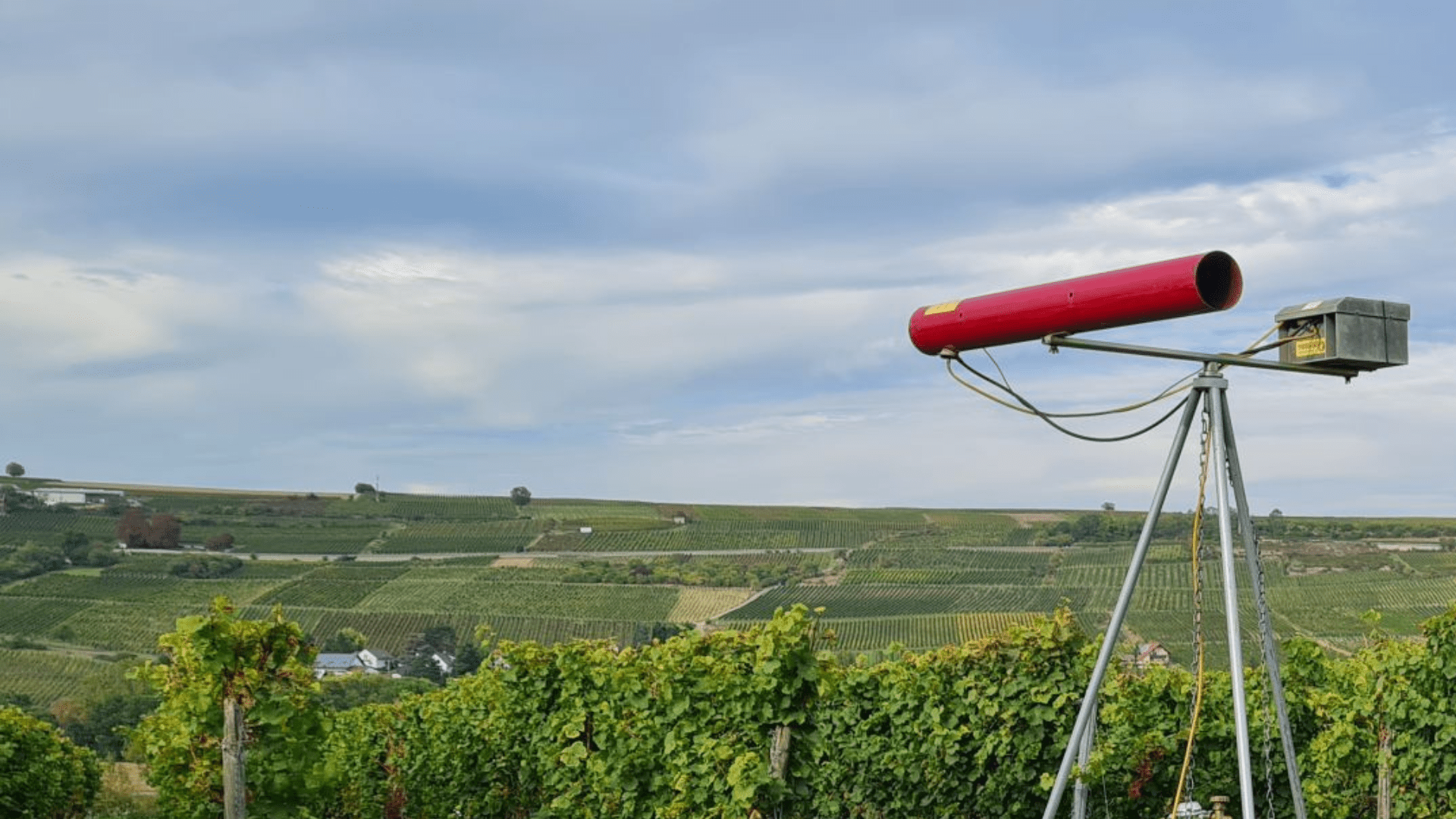 Purivox Gas Guns Set the Standard for Reliable, Long-Lasting Bird Control - Birdzout