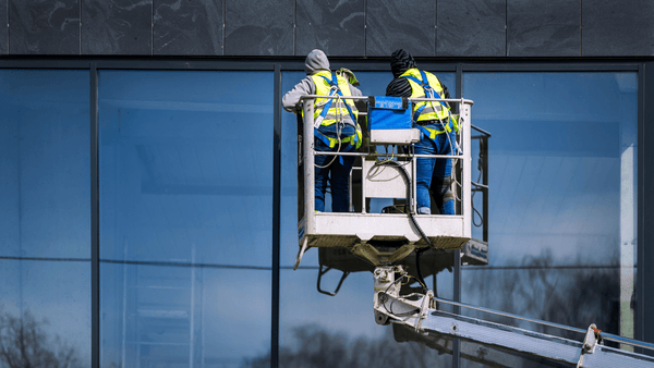 Spring Clean Done? Here’s How to Keep Birds from Moving Back In - Birdzout