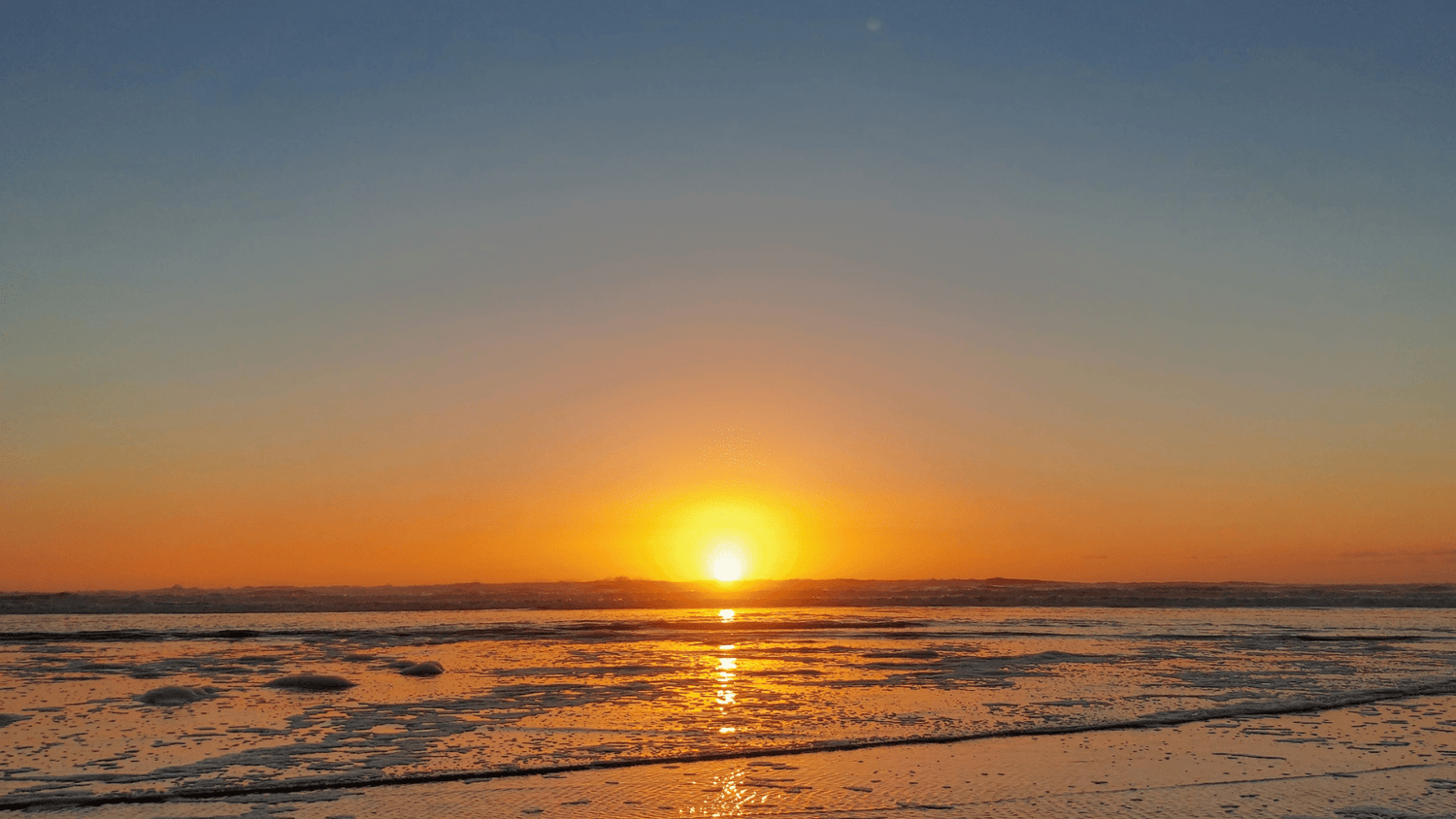 The Story of Birdzout - Birdzout