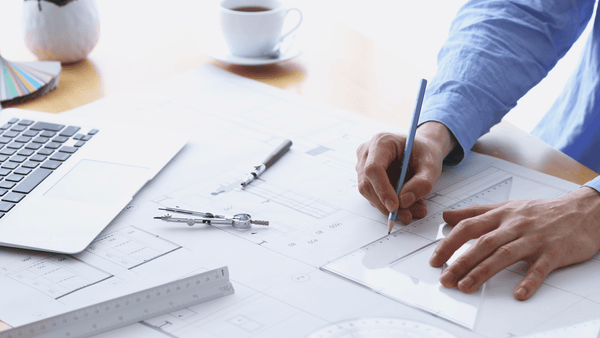 When Should I Think About Bird Deterrents in a New Building? - Birdzout