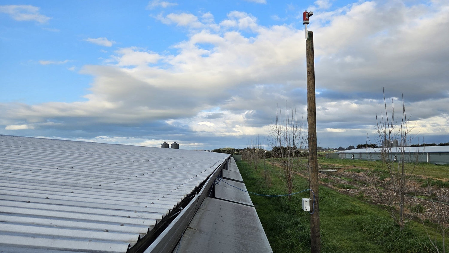 Where biosecurity is critical, you cannot rely on reactive bird control - Birdzout