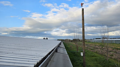 Where biosecurity is critical, you cannot rely on reactive bird control - Birdzout