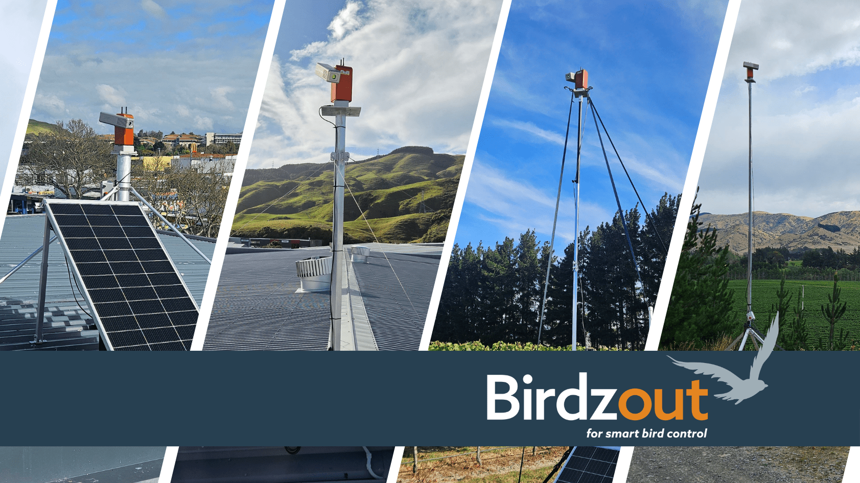 Where Laser Bird Deterrents Work Best - Birdzout