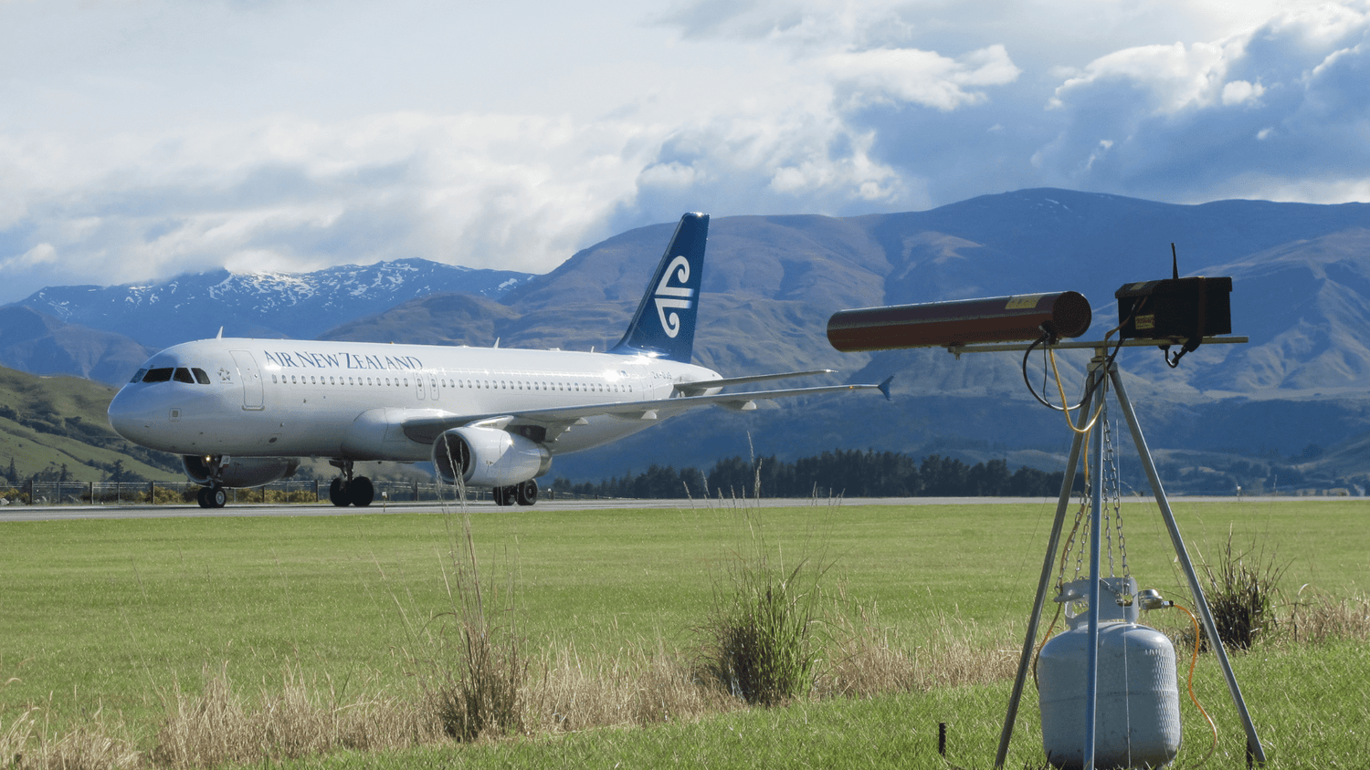 Why Bird Pressure Around Airports Increases in Spring - Birdzout