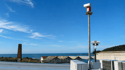 Why Using Multiple Bird Deterrents Delivers Better Bird Control - Birdzout
