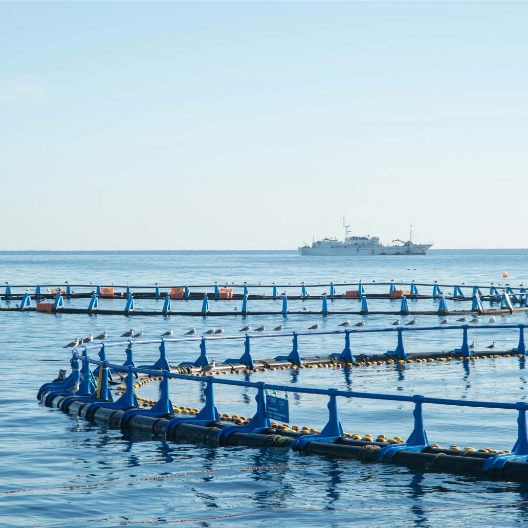 Fish farms
