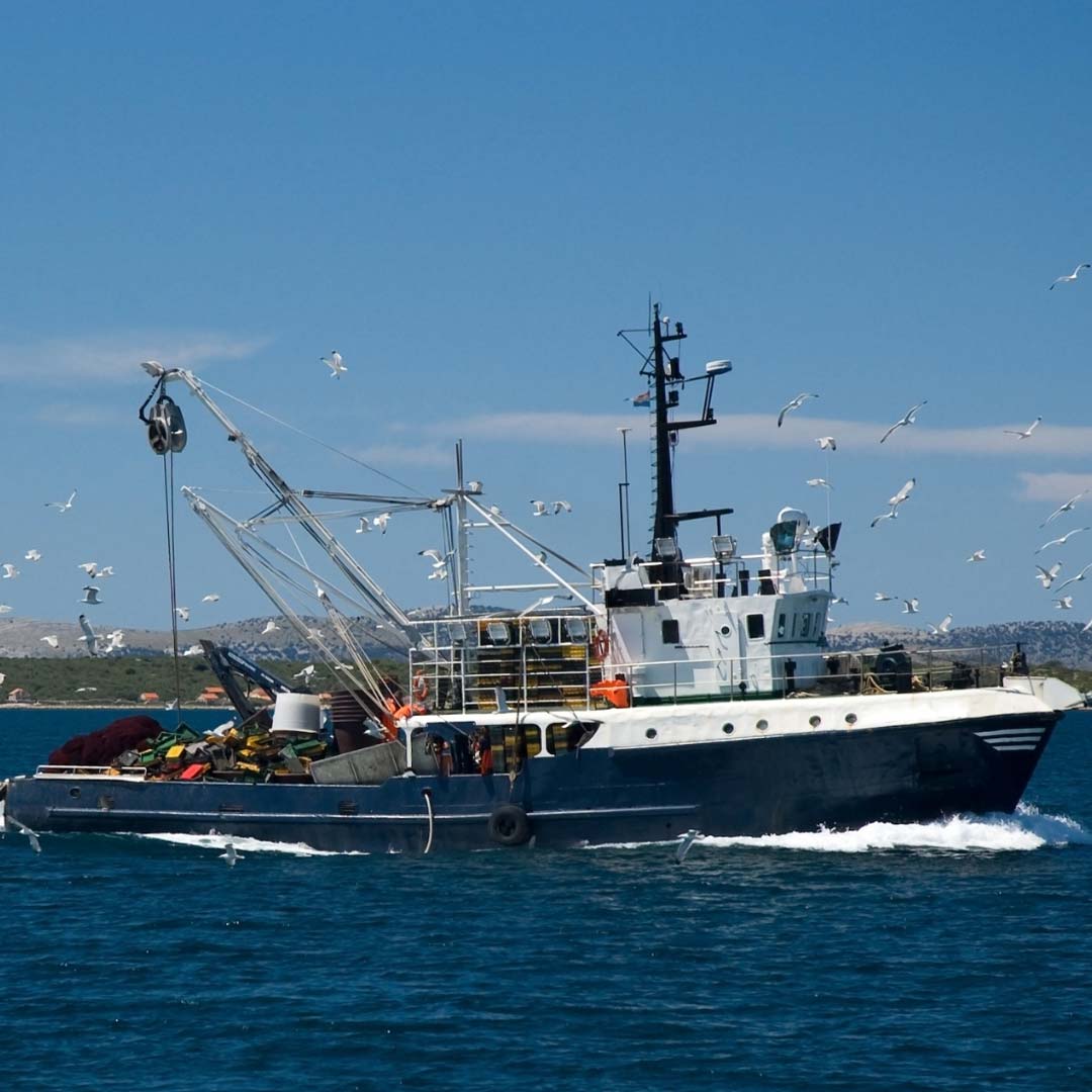 Longline fishing