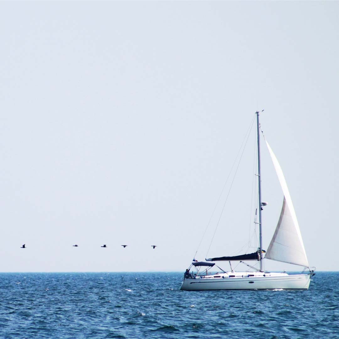 Boats - Birdzout
