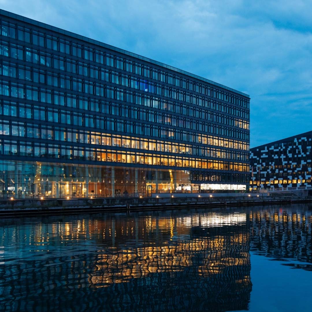 Commercial - Birdzout