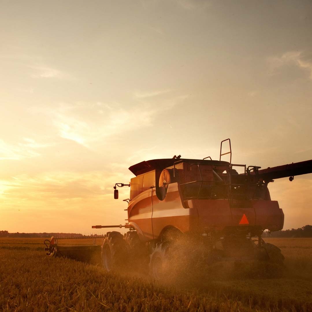 Seed Crops - Birdzout