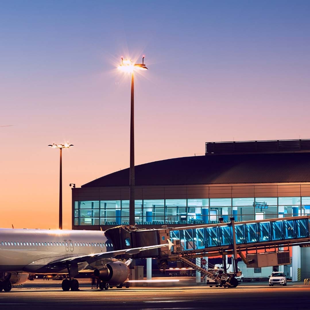 Terminals - Birdzout