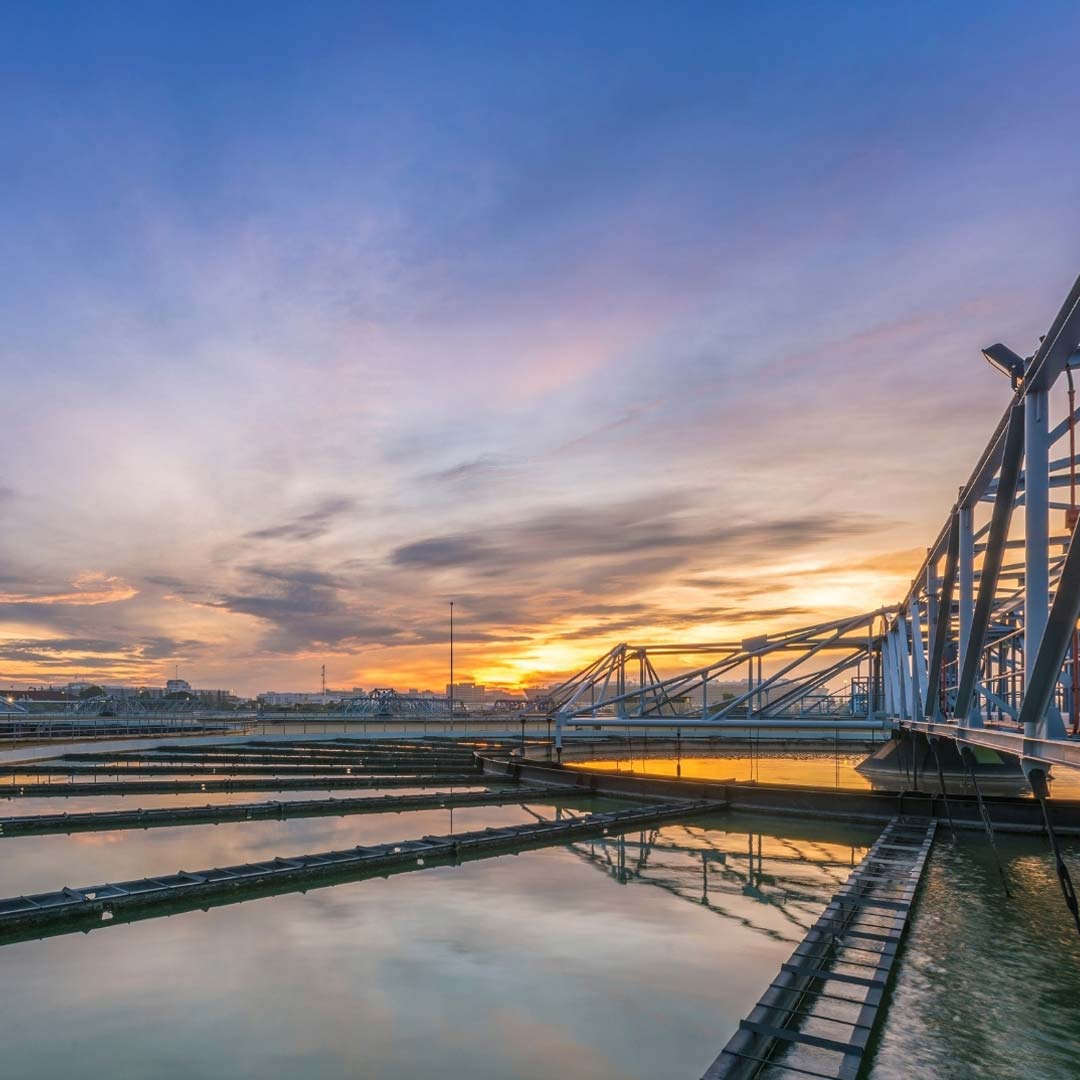 Waste Water Treatment Plants - Birdzout