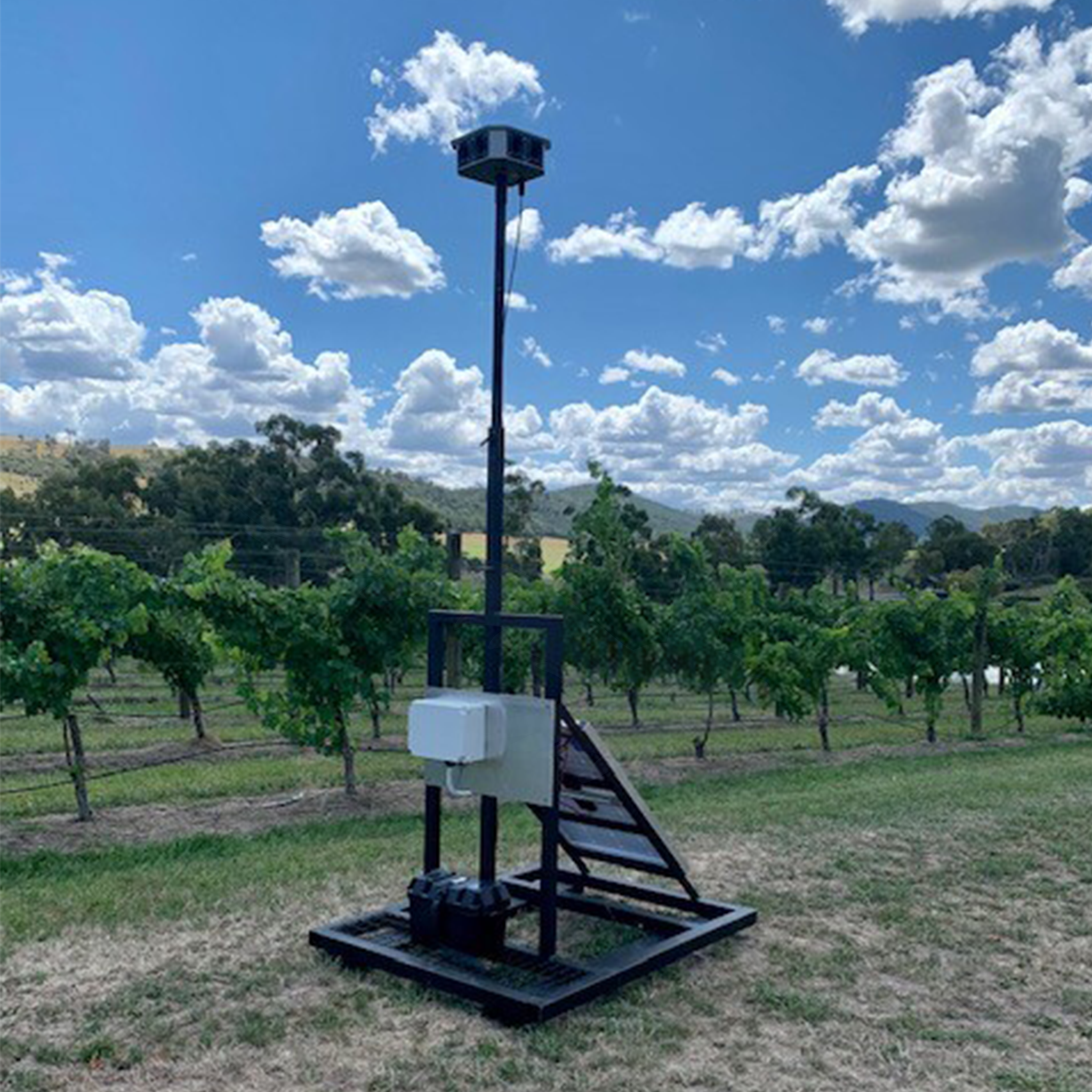 8S Octi Bioacoustic
