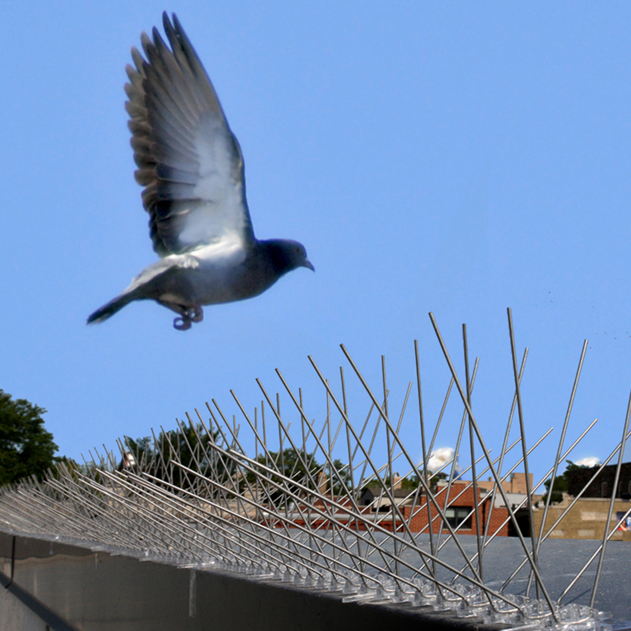 AW5 Bird Spikes - 170mm Wide